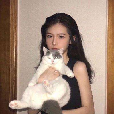 机动都市阿尔法4399版下载安装
